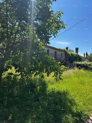 Kuća i staja, Barban, zemljište s voćkama i orasima - 7