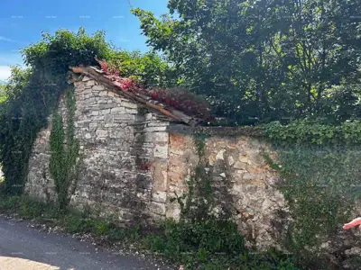 Kuća i staja, Barban, zemljište s voćkama i orasima - 5