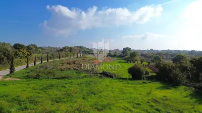 Tourist land in Svetvinčenat, peace and privacy in Istria - 5
